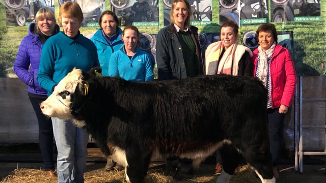 Around 50 lots to go under the hammer in charity auction