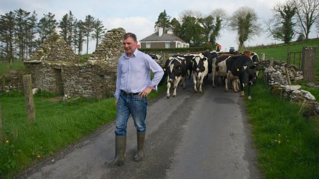 Comer: 'It would've been good for Fianna Fail to bring in an outsider'