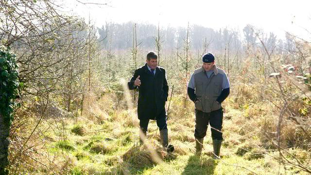 Doyle highlights importance of forestry in Galway