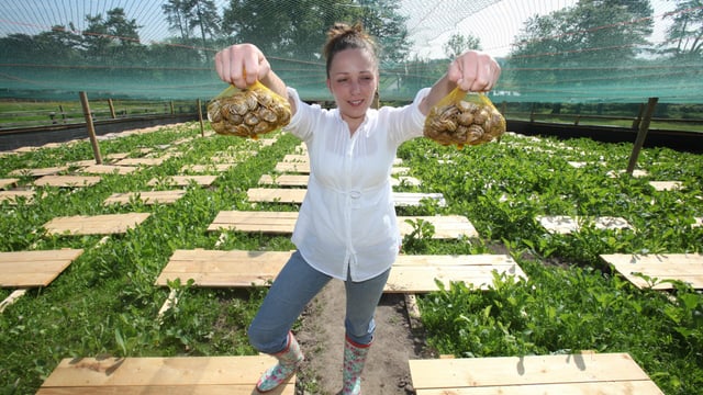 South East Women in Farming think big on small acreage enterprise