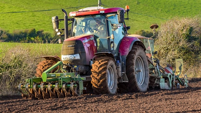 Grain Growers AGM: 'We have to survive as tillage farmers in our own right'