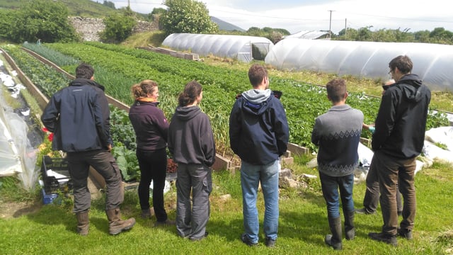 Apprentice organic growers sought for internship programme