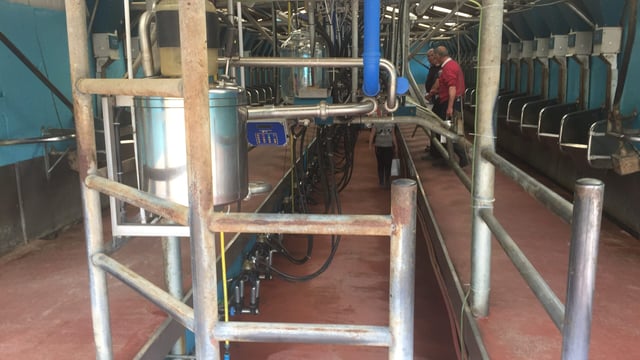 What to do if your bulk tank has been contaminated with antibiotic residues