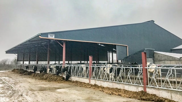 Buildings focus: 123 cubicles; a new parlour and drafting system - for a 'one man show'
