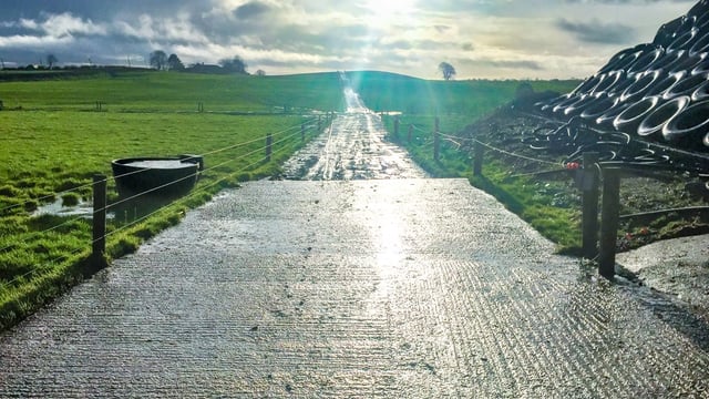Dairy focus: Driving 'black and white' production from grass in Co. Westmeath