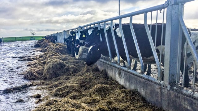 Dairy focus: Scottish man develops 350-cow unit in Co. Westmeath