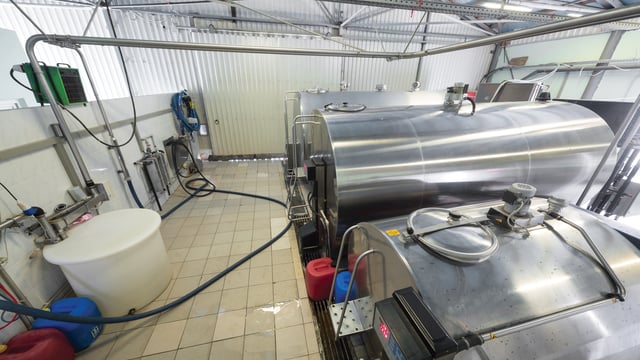 March domestic milk intake up 11.1% against same month in 2018