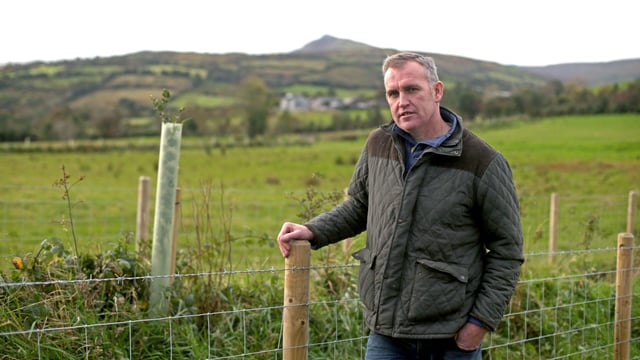 How trees are solving farm problems in the Glens of Antrim