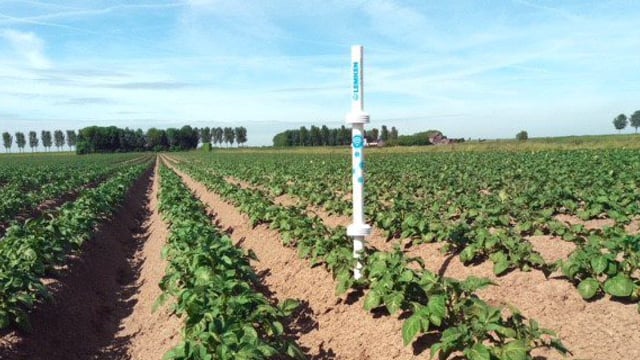 If fields could talk...they'd tell you the weather