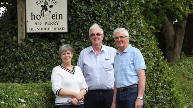 Big change in Holstein UK as NI-born president ends term and new CEO appointed