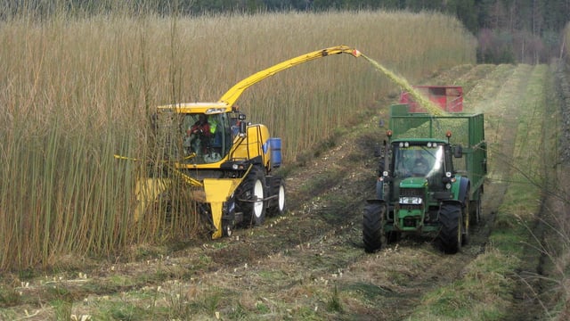 'Tillage farmers will not be scapegoated again with another hare-brained scheme'