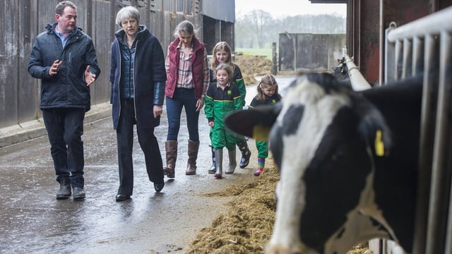 Pics: Theresa May lands on Co. Down dairy farm for Brexit tour