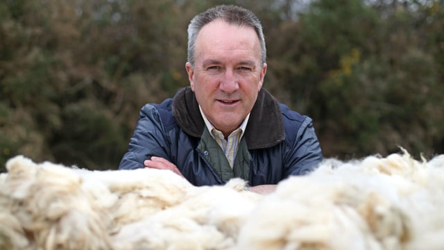 NI wool prices remain downbeat - British Wool director