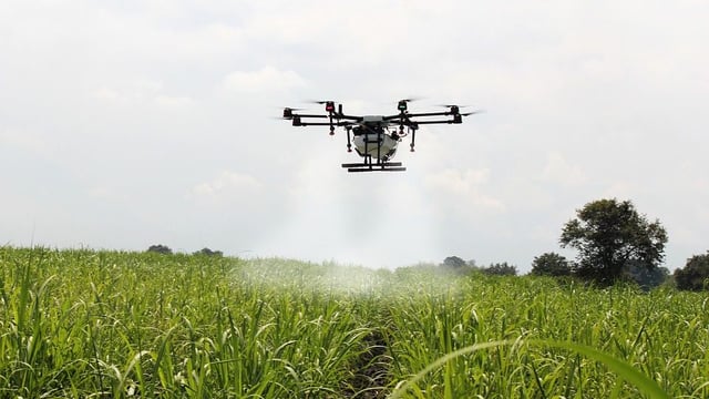 Ireland objects to modernising pesticide-use data – why that is a bad idea
