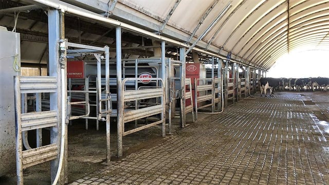 Pivots and milking with 8 robots in southern Australia