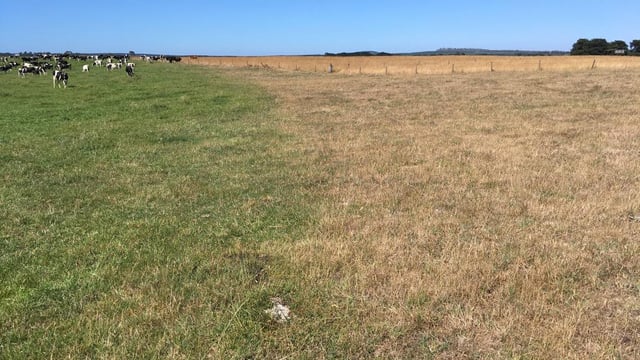 Australian farmers fear 'dud' trade deal with EU