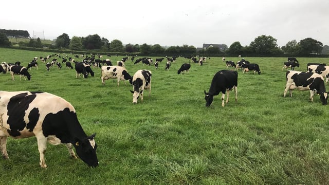 The 'catch-22' of taking out paddocks or continuing grazing as is
