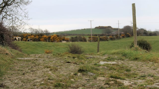 Environmental Farming Scheme open for applications