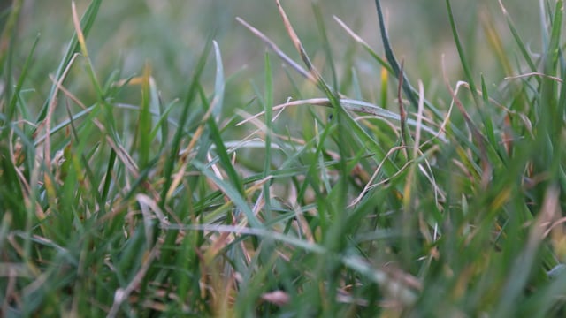 Better land management could be worth up to £196m a year to Northern dairy sector