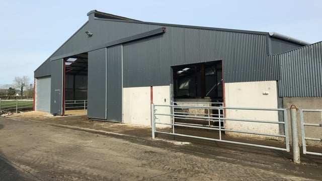 Buildings focus: Inside a €120,000 cubicle and calving shed in Co. Westmeath
