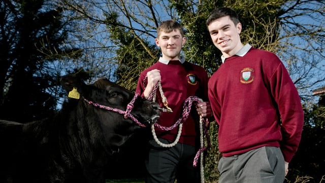 Winners of calf-rearing competition announced