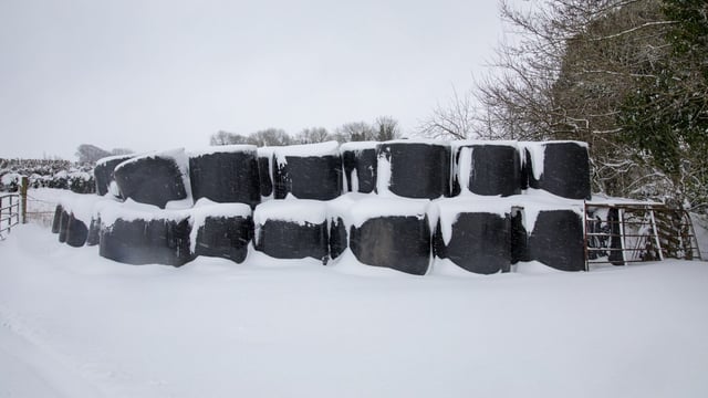 Creed urged to rethink fodder support scheme following Storm Emma