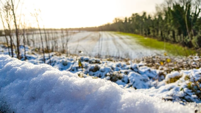 Status Yellow weather warning issued for this weekend