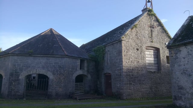 Hardwood, hops and history: Farm behind Ballykilcavan Brewery hosts tour