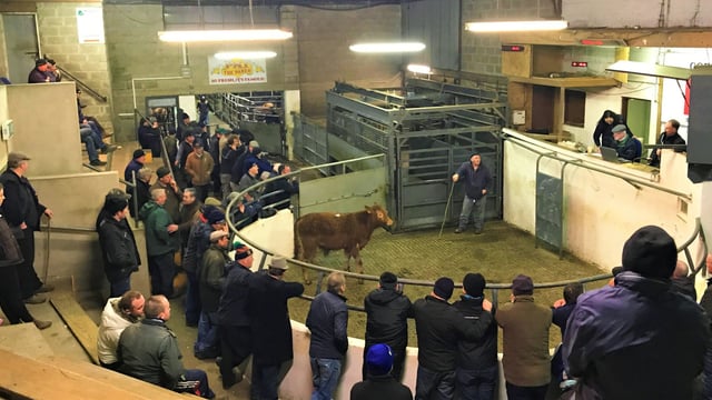 Farmers hear how to protect livelihoods at Knowledge Transfer event in Granard Mart