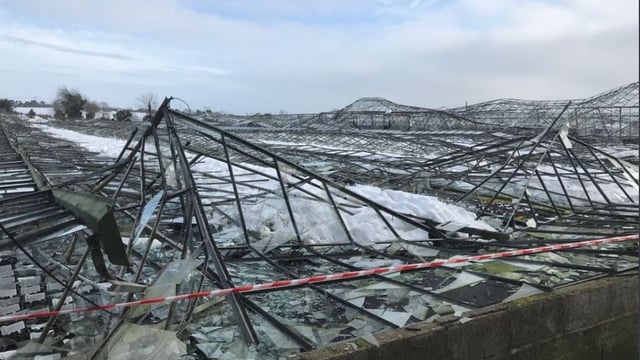 Farmers in south-east and east 'bear brunt of Beast' as claims stack-up