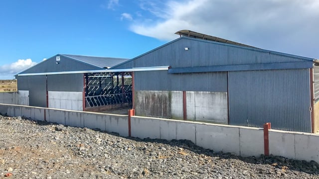 Buildings focus: A simple beef unit makes life easier in Co. Tipperary