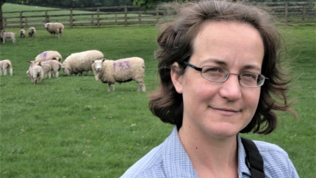 Grass event to help sheep farmers 'play catch up' on a late season