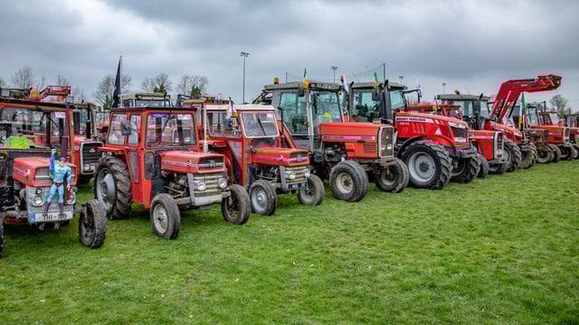 Video: 285 MF tractors in convoy; if she ain't red...