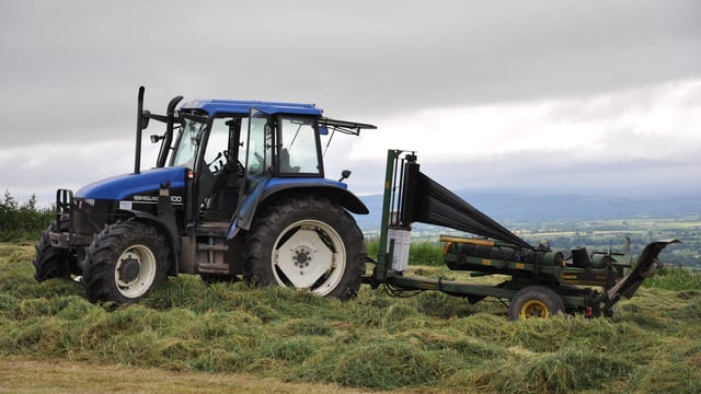 Department urged to help farmers build fodder resilience
