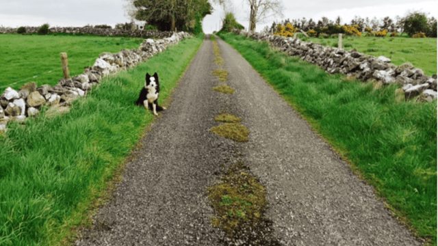 Law enacted to remove problems affecting rights of way