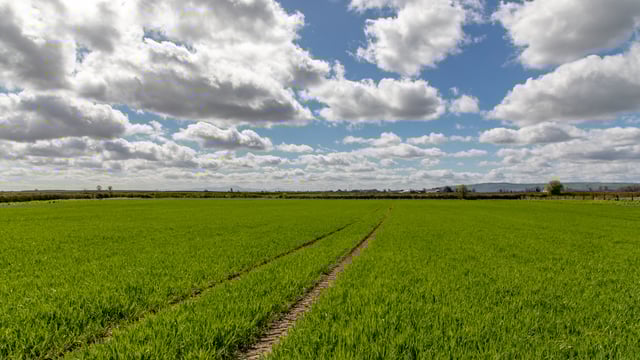 'Enhanced' Tillage Investment Scheme needed - Macra