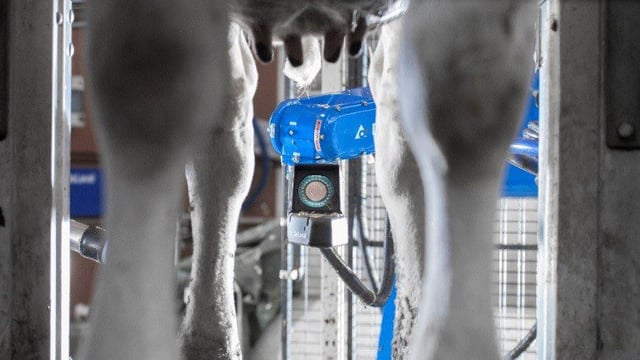 Operation automation: Teat spraying gets robotic revamp in Limerick