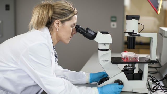 International animal science experts to give talks in Dublin next week