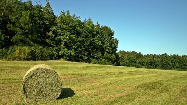 Safety tips for hay bales following 'number of hayshed fires'