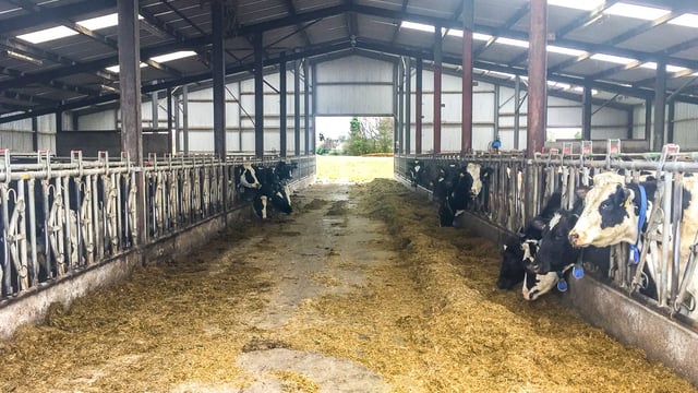 5 animal health considerations during a prolonged housing period