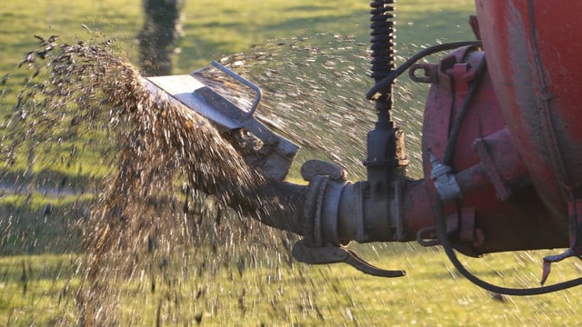 NIEA chief admits ammonia is becoming 'the new nitrates'