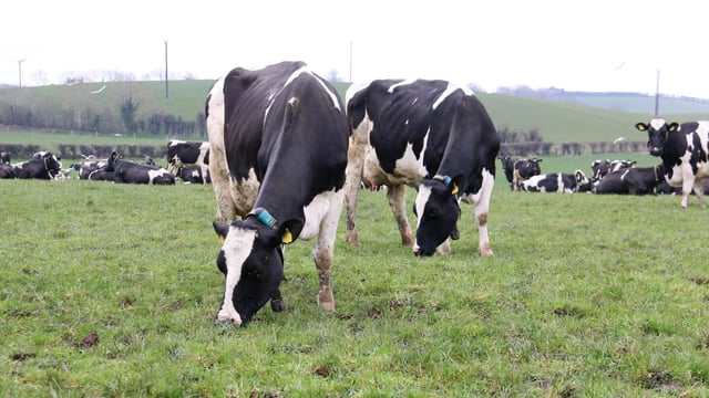 Grass growth fortunes turning as temperatures start to rise