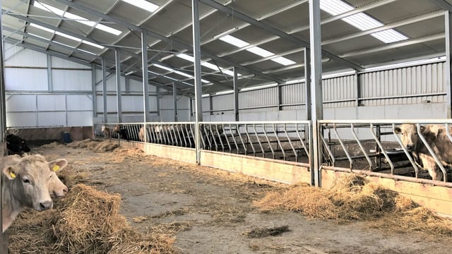 Is galvanised steel required under TAMS II specifications?