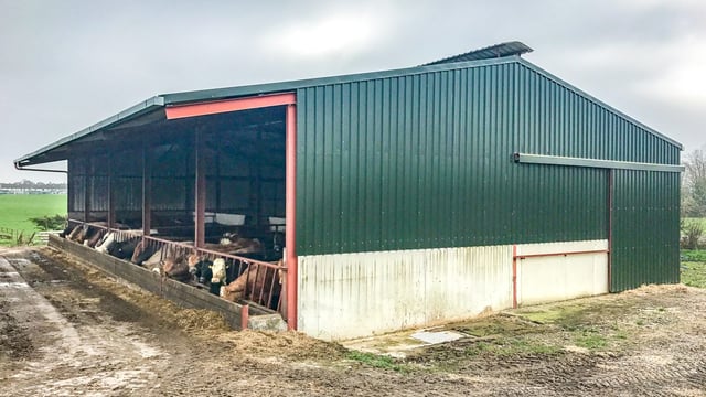 Buildings focus: A self-erected beef unit constructed without TAMS in Co. Kilkenny