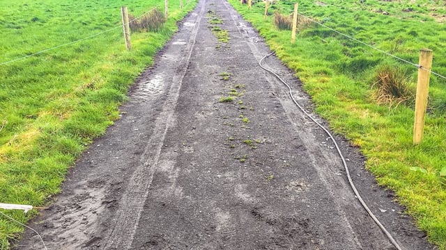 Dairy focus: Changing the game and chasing early grass in north Mayo