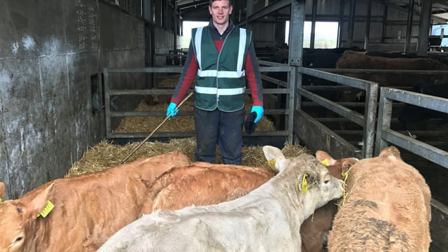 Beef focus: Maximising profits by driving efficiency in Co. Meath