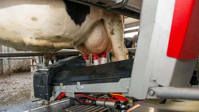First look: New Lely Astronaut makes debut at 'Ploughing 18'