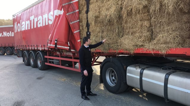 Fodder import scheme welcomed by farmers' group