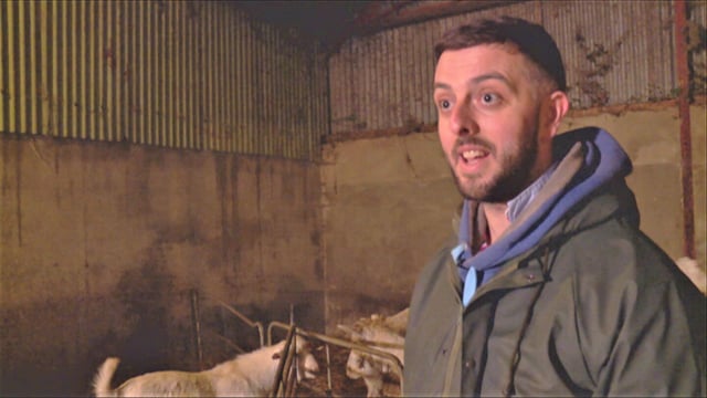 Rare Breed farmer joins Open Farm Weekend line-up