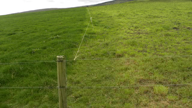 Concerns that creosote ban could impact TAMS fencing grants